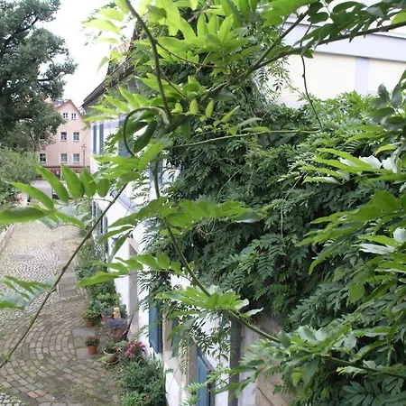 Ferienhaus Am Gruenen Stadtrand Dresden